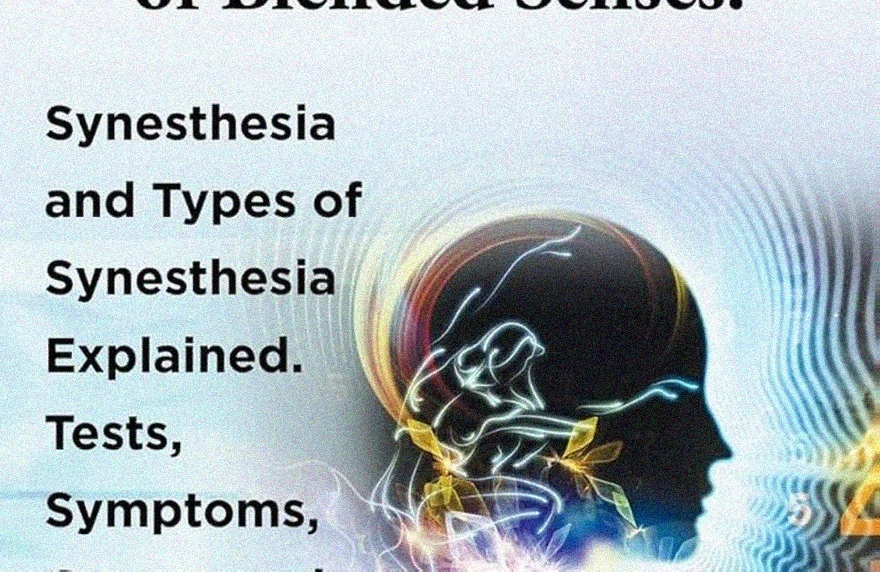 synesthetic business thinking